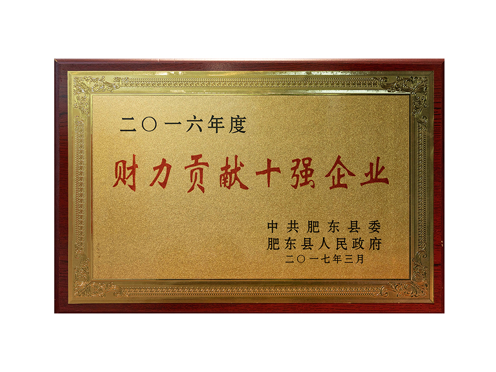 2016年度財力貢獻(xiàn)十強(qiáng)企業(yè)